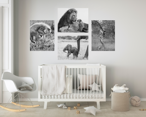 Safari Baby Animals Photo Set (Black and White)