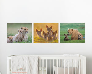 Mom and Baby Bears Photo