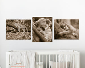 Sleepy Baby Animals Photo Set (Sepia)