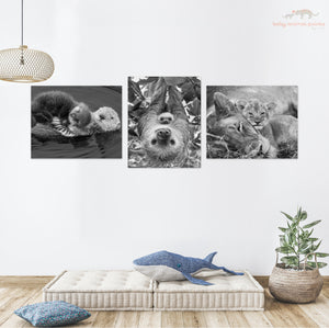 Snuggle Baby Animals Photo Set (Black and White)