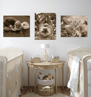 Snuggle Baby Animals Photo Set (Sepia)