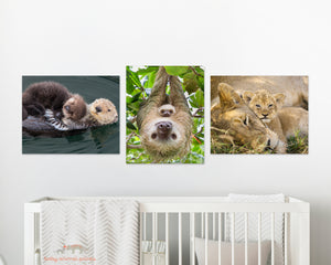 Snuggle Baby Animals Photo Set (Color)