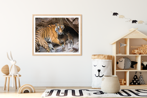 Tiger Mom and Cubs in Den Photo