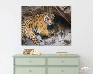 Tiger Mom and Cubs in Den Photo
