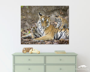 Tiger Mom and Cubs Photo