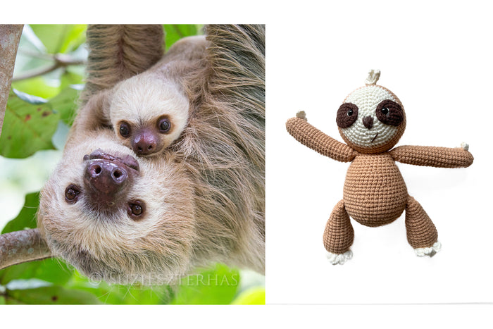 Little Sloth Lovers Bundle