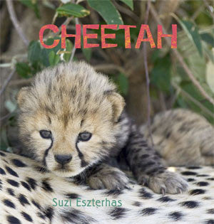 baby cheetah book