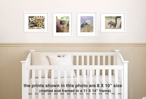 cute baby animal nursery print set 