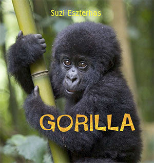 Children's Book, "Eye on the Wild" ⎯ Gorilla