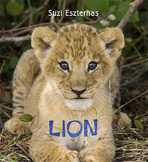 baby lion book