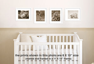 mom and baby animal sepia photos over crib