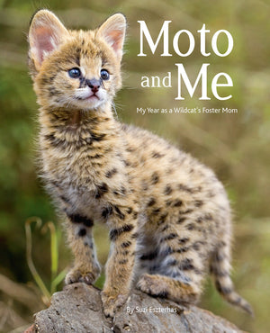 moto and me childrens book