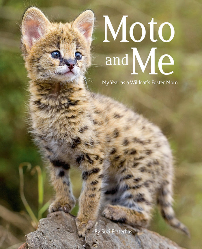 Children's Book, Moto and Me