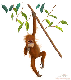 Baby Orangutan Onesie
