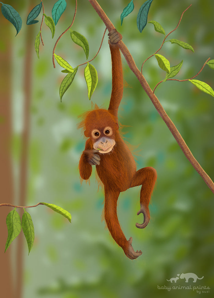 Baby Orangutan Illustration Print
