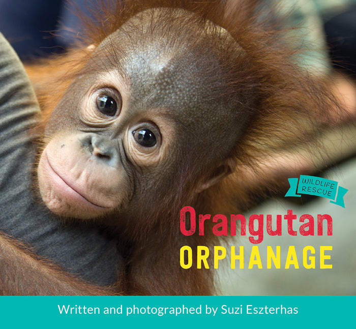 Children's Book, "Wildlife Rescue Series" ⎯ Orangutan Orphanage