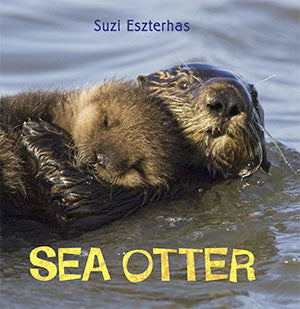 baby sea otter book