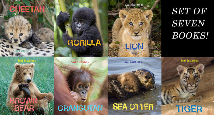 Children's Books, "Eye on the Wild" ⎯ Set of 7