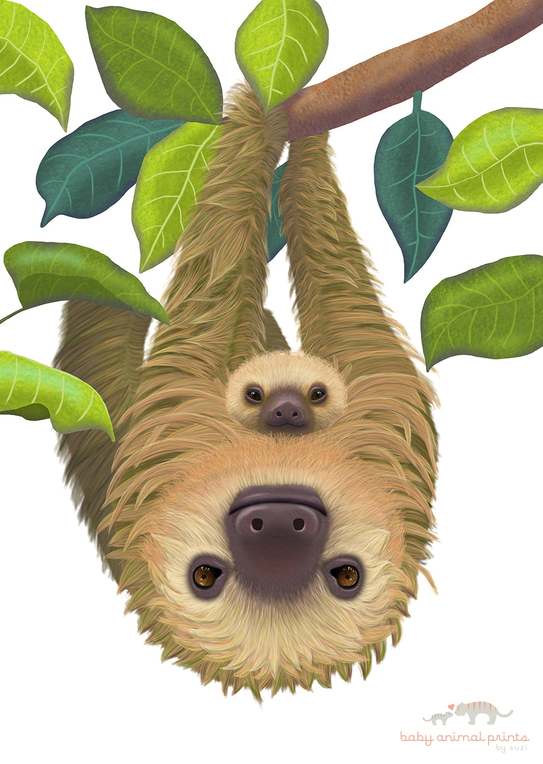 Baby Sloth In A Onesie