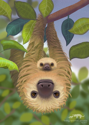 Baby Sloth Illustration Print